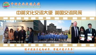 融匯中西，傳遞友誼——第五屆中國(guó)文化交流大使選拔活動(dòng)組織策劃文化藝術(shù)交流活動(dòng)紀(jì)實(shí)